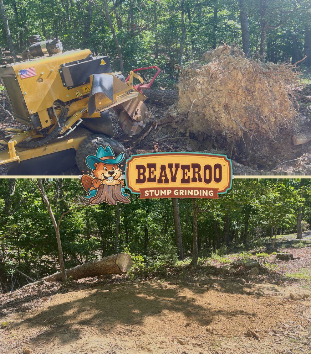 Before and after a stump grind in Massanutten