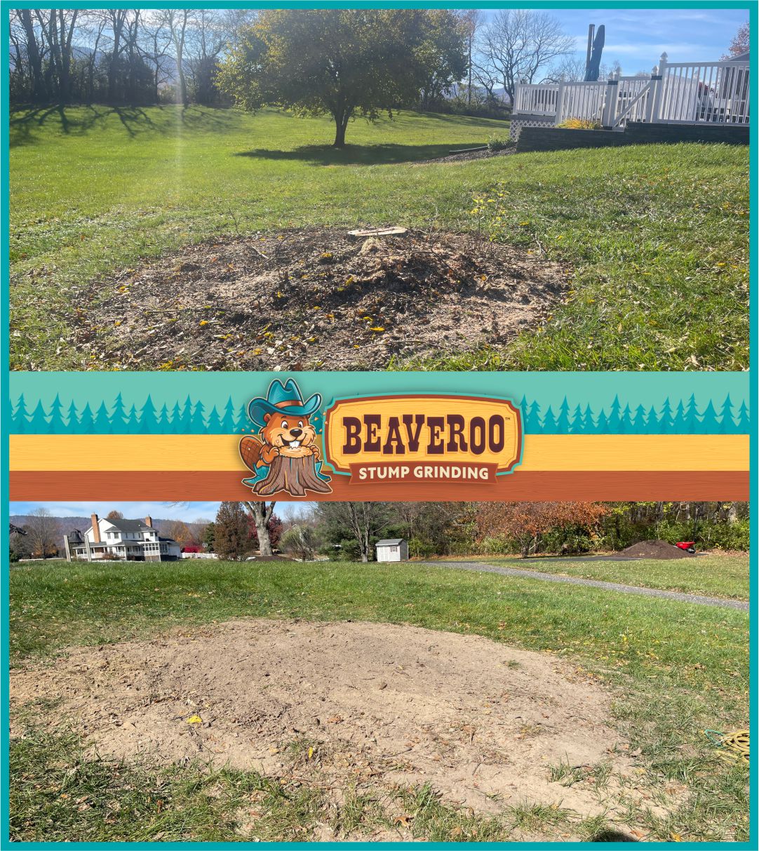 Stump Grinding Service in Staunton VA
