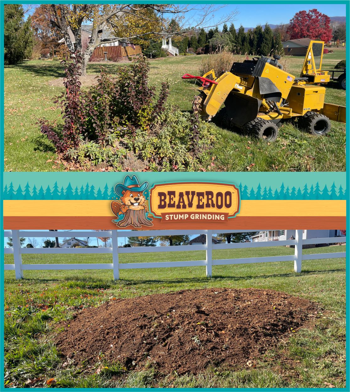 Beaveroo grinding a tree stump 14 inches below grade in Harrisonburg, VA.