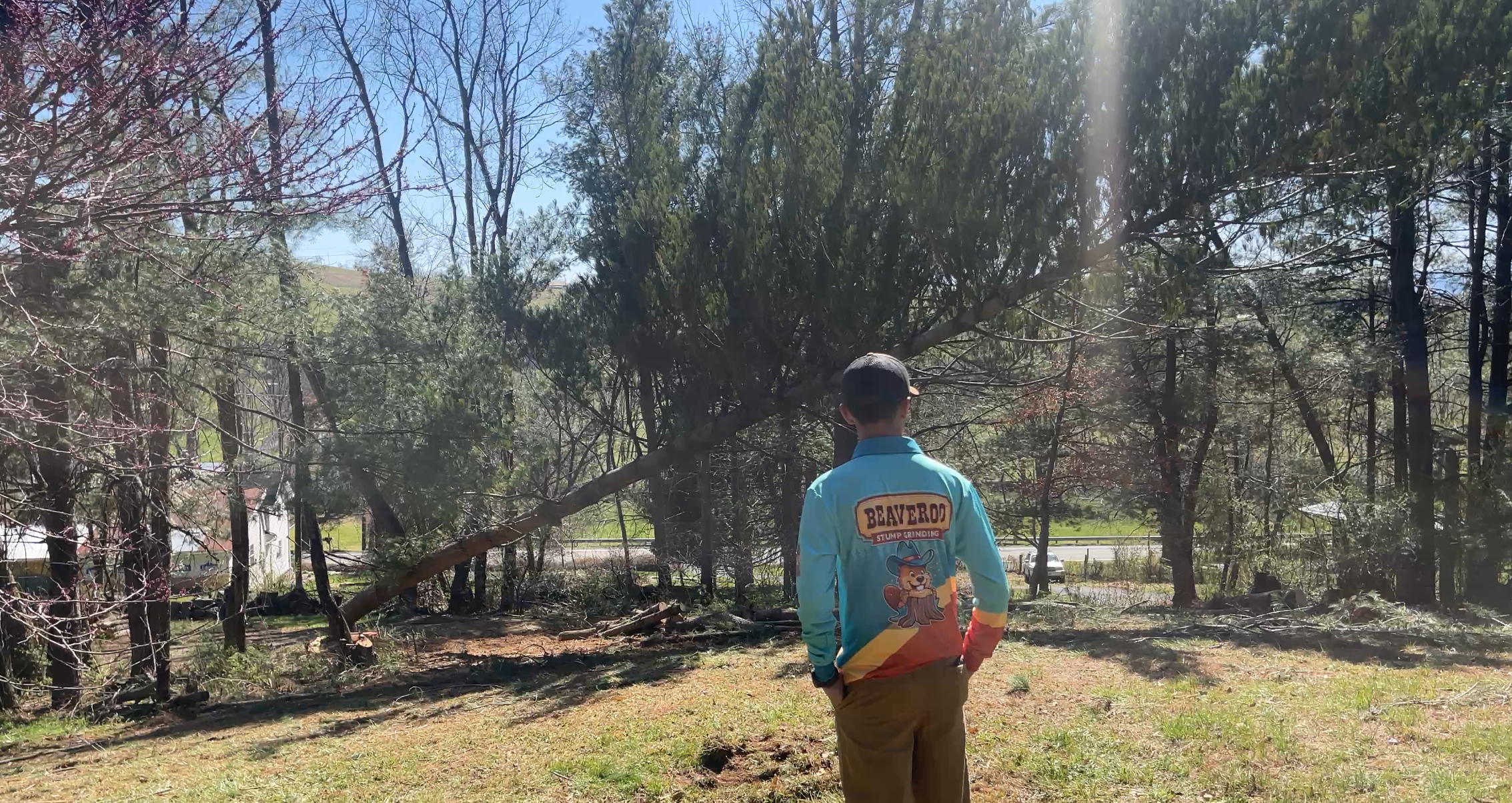 Tree Service - Beaveroo Rockingham County, VA